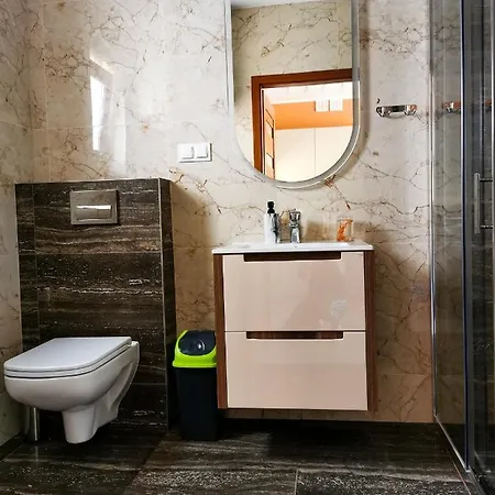 別荘 Trzy Brzozy *